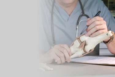 Patient consultation in the orthopaedic department of Kapadia Multispeciality Hospital, Goregaon West, Mumbai